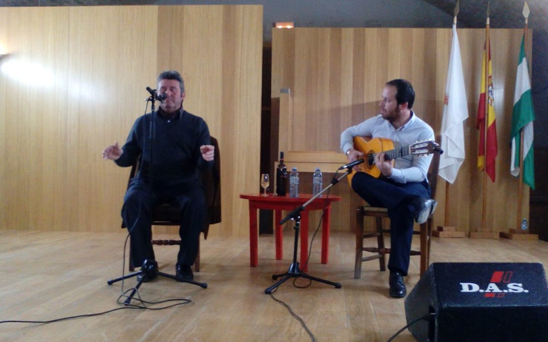 Festival flamenco del día de Andalucía 1