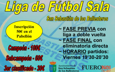 Liga de fútbol sala en categoría sénior 2017