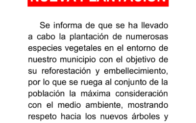 Nueva plantación de árboles 2017