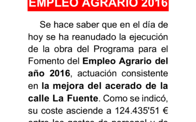 Reanudación de las obras del PFEA 2016