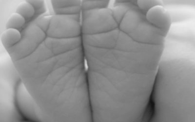 Subvenciones por nacimiento, adopción o similar 2017