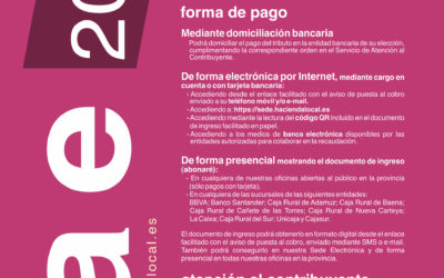 Impuesto sobre Actividades Económicas 2018