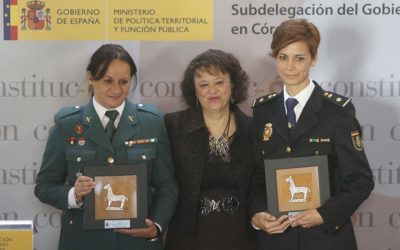 Acto oficial por el 40 aniversario de la Constitución