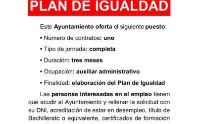 Contratación de especialista en igualdad