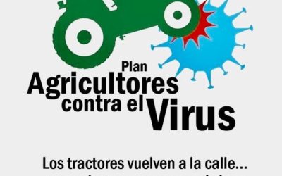 Medidas de desinfección en calles