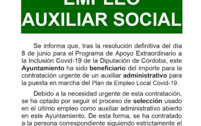 Empleo auxiliar social