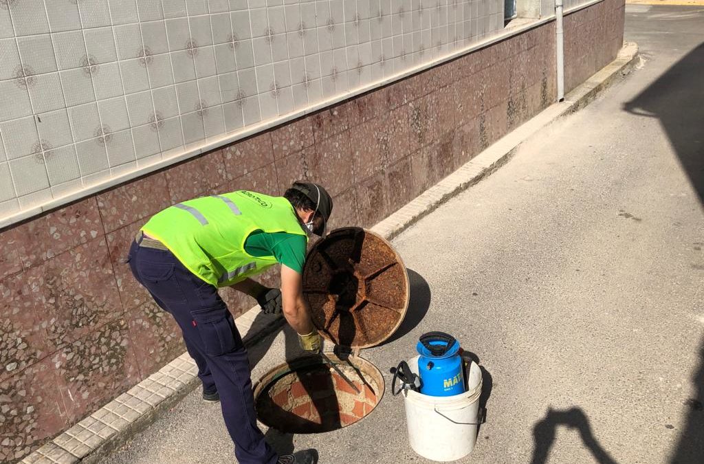 Desinsectación y desratización del alcantarillado 1