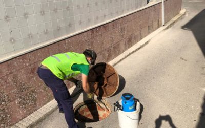 Desinsectación y desratización del alcantarillado