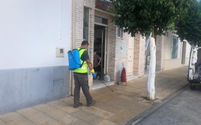 Desinfección de calles