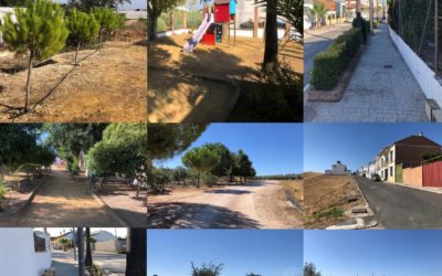 Trabajos de mantenimiento y desinfección