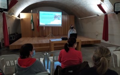 Crónica 2ª ponencia infancia y familia