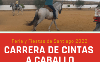 Cintas a caballo