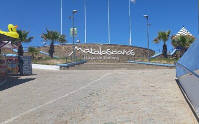 Crónica viaje a Matalascañas. Verano 2023