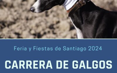 Carrera de Galgos. Feria de Santiago 2024