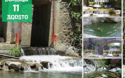 Senderismo Acuático por el Río Grande de Tolox