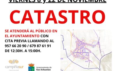 Servicio de catastro noviembre 2024