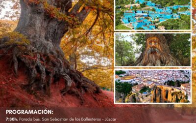 Senderismo por el Bosque de Cobre y visita de Júzcar y Ronda.