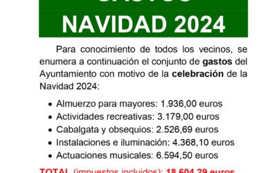 Gastos Navidad 2024