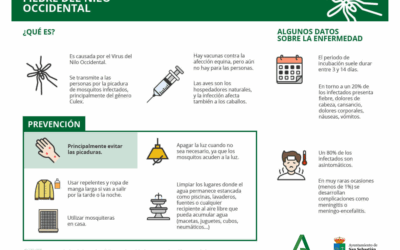 Información de interés